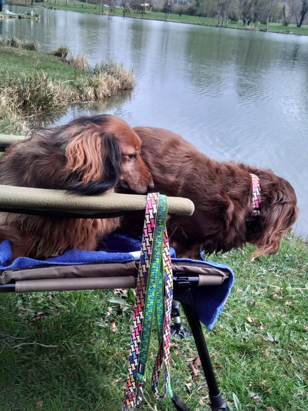 [Image: IMG-20220330-132517.jpg]