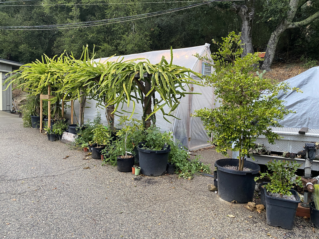 95B4857F-B624-49D7-9B85-7FA8C156B462