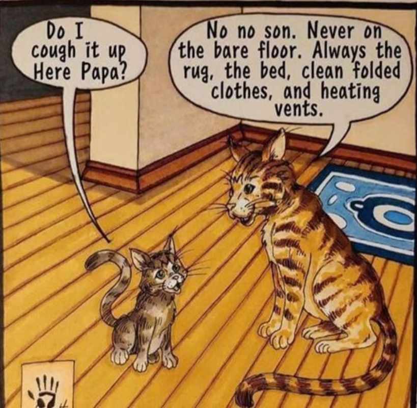 [Linked Image from i.postimg.cc]