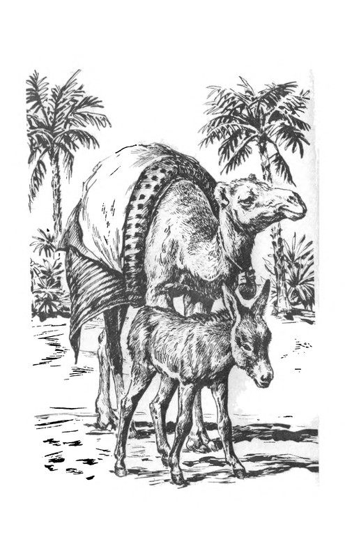 p0005
