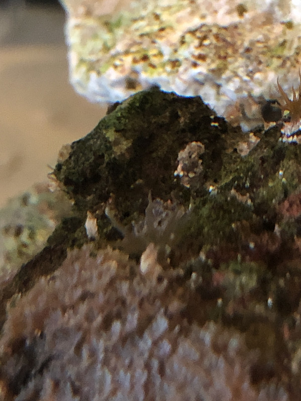 4AE730B8-A4B6-4023-ACD6-8FB5C5F6D88C