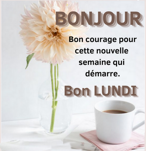 166-bonjour-bon-lundi