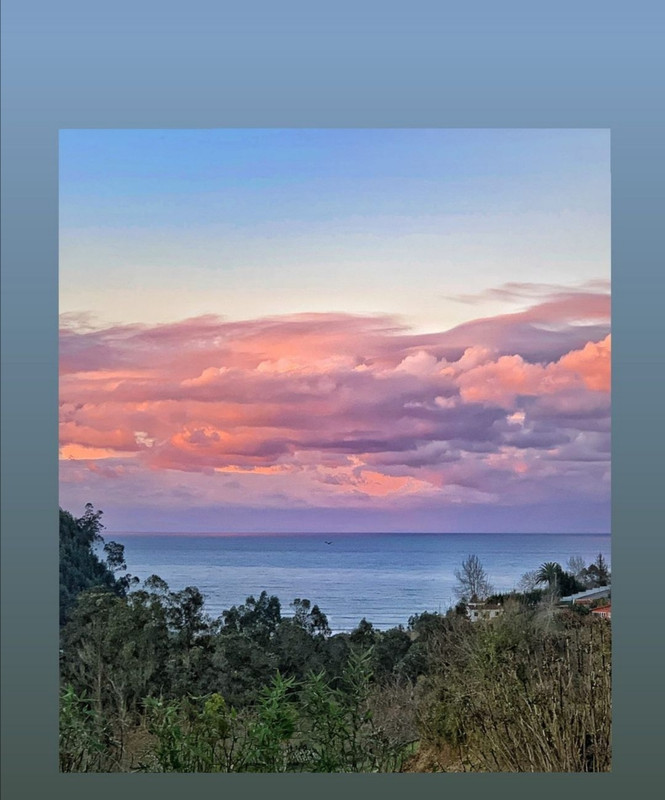 Screenshot_20210108_122903