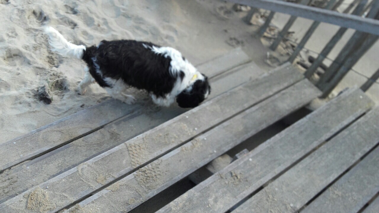 3512404A-4B3C-4FDD-81ED-42233F6225A3