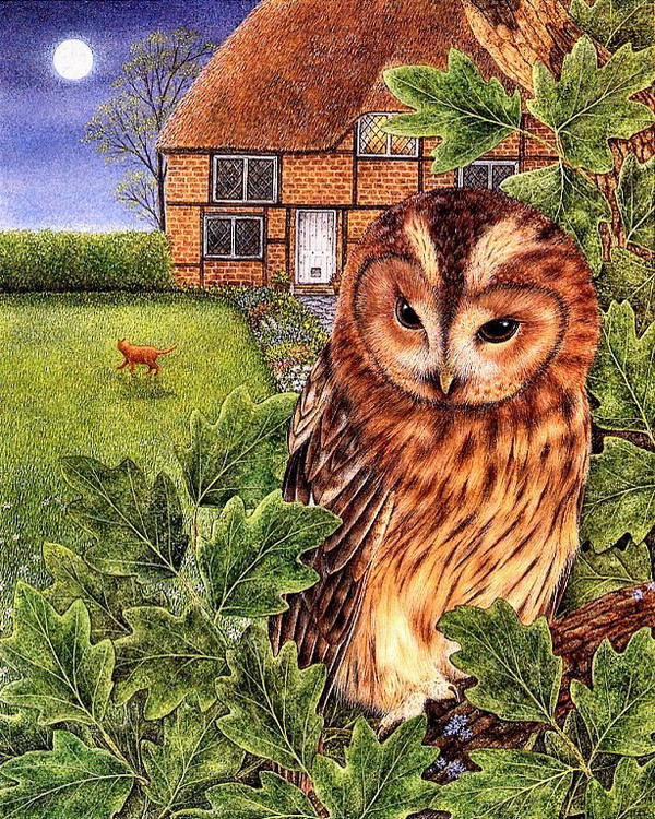 07-Anne-Mortimer-2