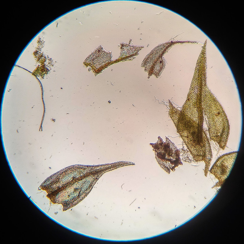 IMG 20250615 221620 HDR