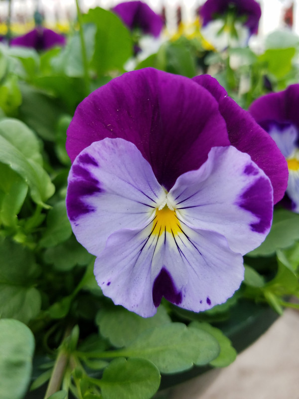 20190411_151648