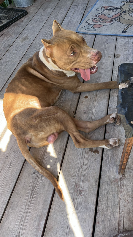 Снимок экрана 2024-05-27 в 19.55.10