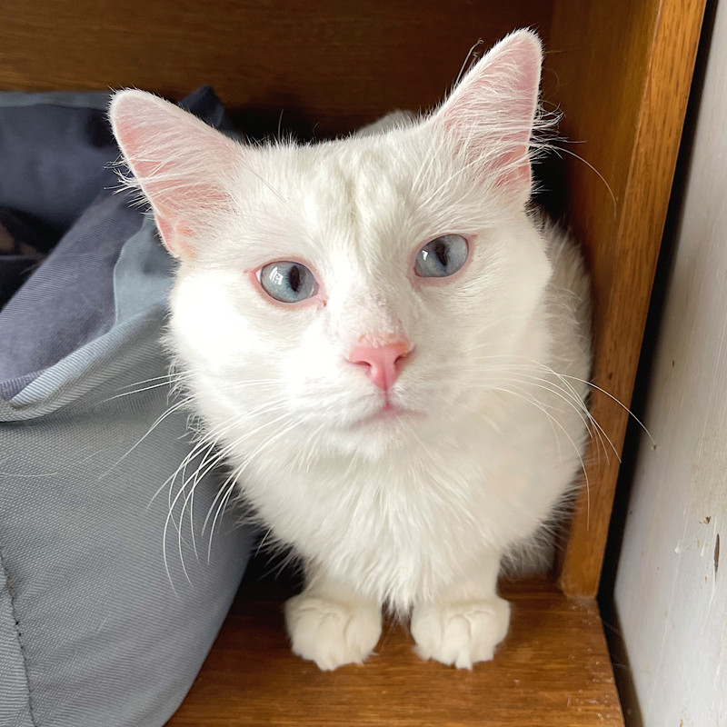 322A0964-97F7-4B88-868B-A75599C23E03