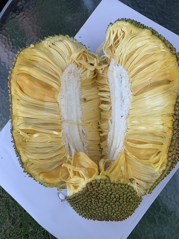 CB601504-D7A3-42AC-8767-600F2B4BEB60