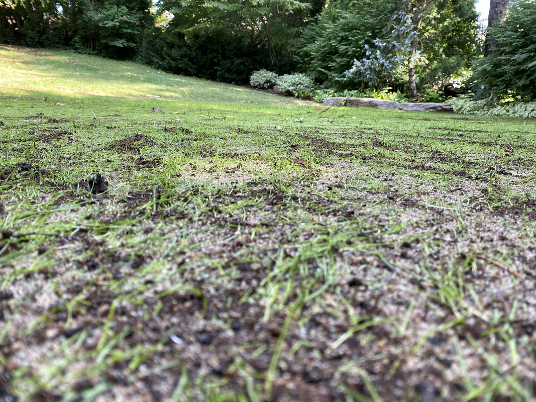 8DDB53D0-F3E7-4405-ABD9-F5688B404564