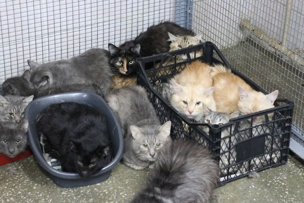 3E03A628-F832-4C79-9868-5EDEA3239BC0