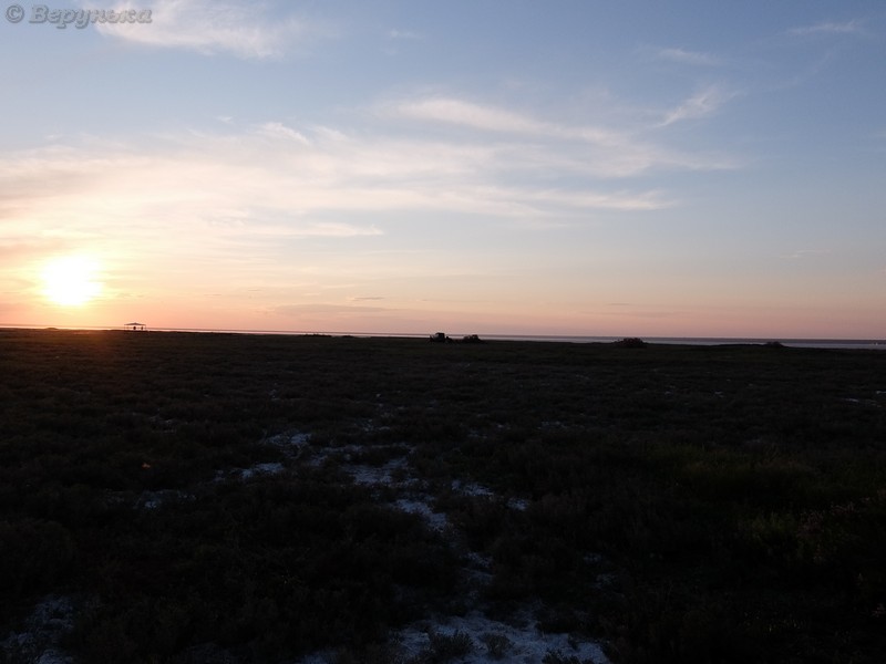 DSCF5765