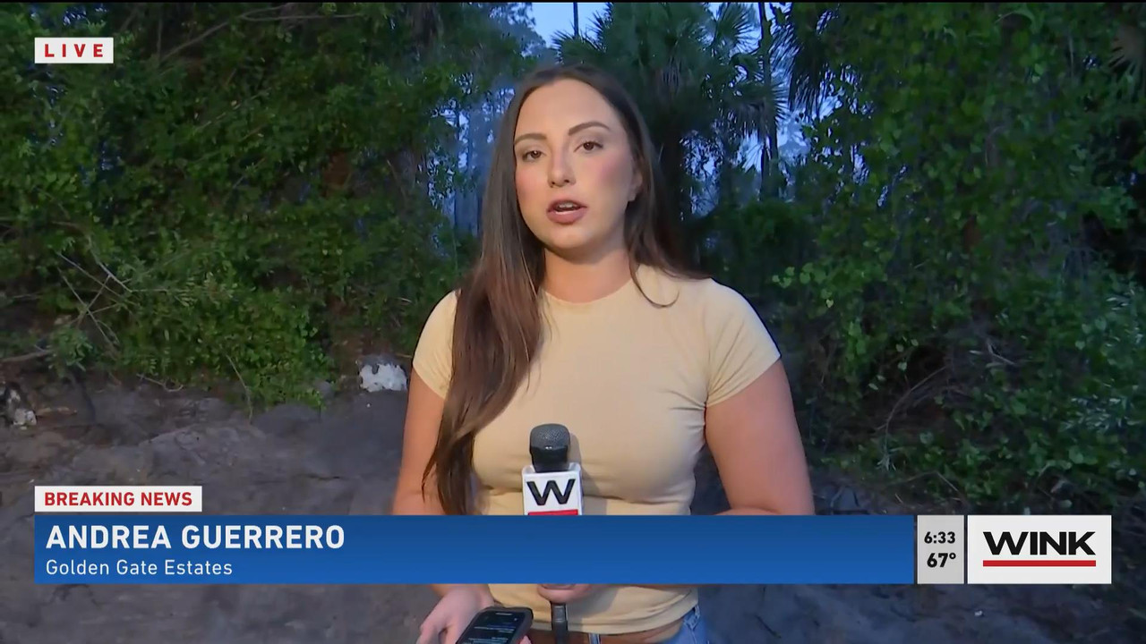 05.23 - 11.00.00 - WINK News @ 6 00AM Sunday. Local news, sports and ....ts_snapshot_34.00_[2021.05.
