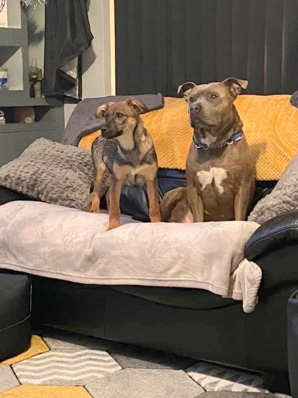 155416970_4048878998553613_3201501948476641635_n