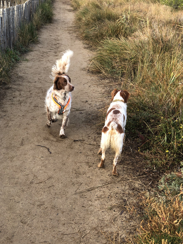 34EEF4FE-76F9-4E84-8F2F-8310DF8F4057