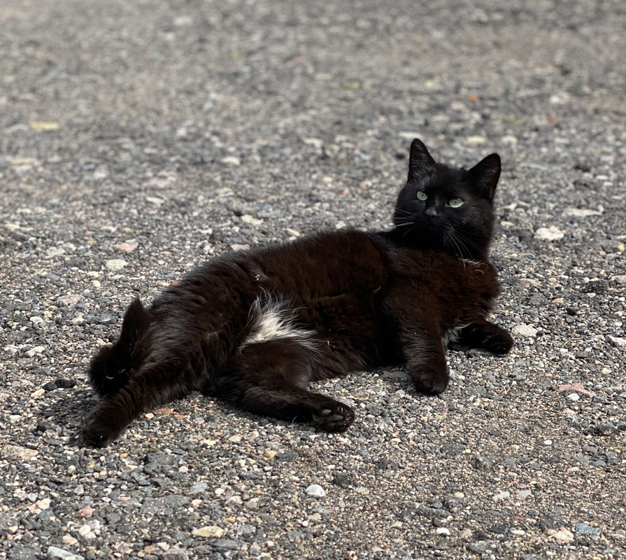 83F1968F-BBDA-4DFF-93C0-EAD833C2E558