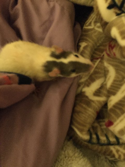 724B41A2-70A9-4AF9-8FC2-877CE3887F2B