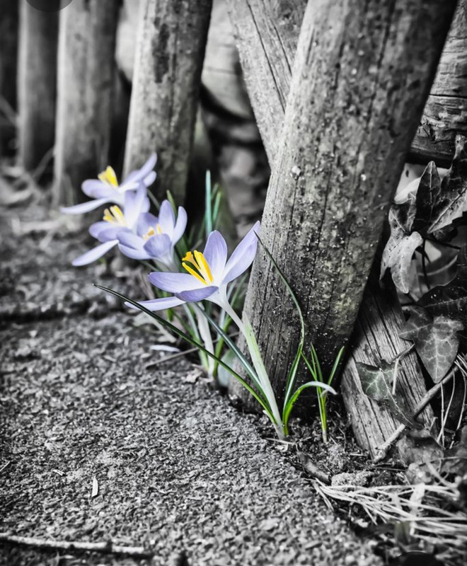 Screenshot_20230409_225259_Pinterest