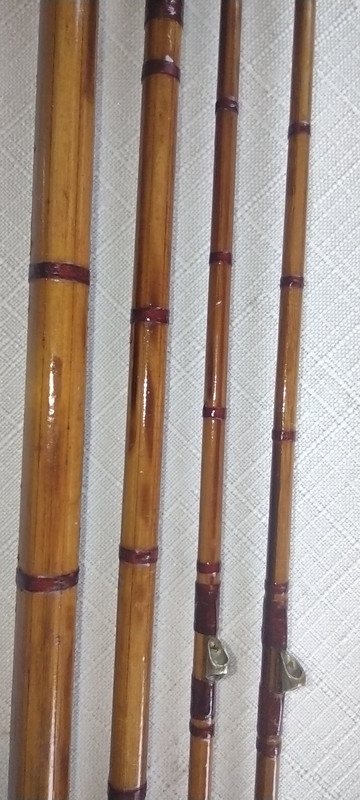 IMG_20220410_111346637