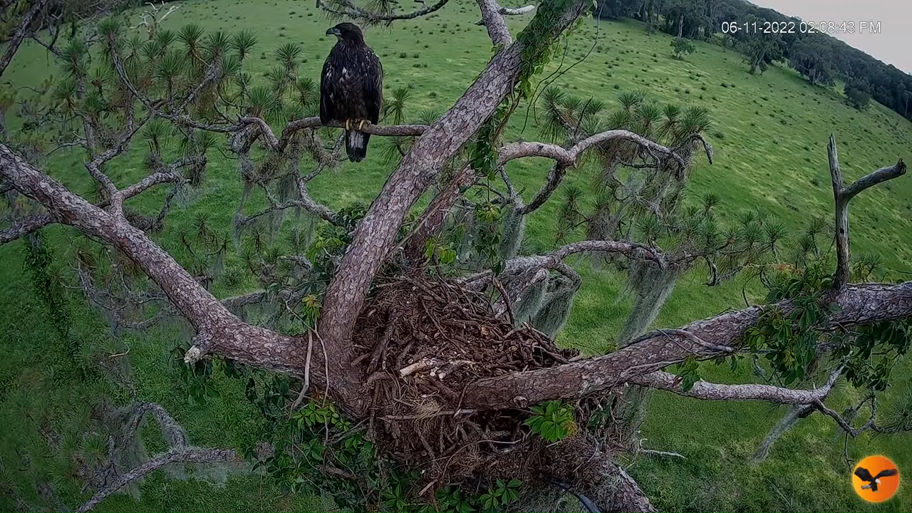 EC 4K Overhead Cam 12-58-20 screenshot