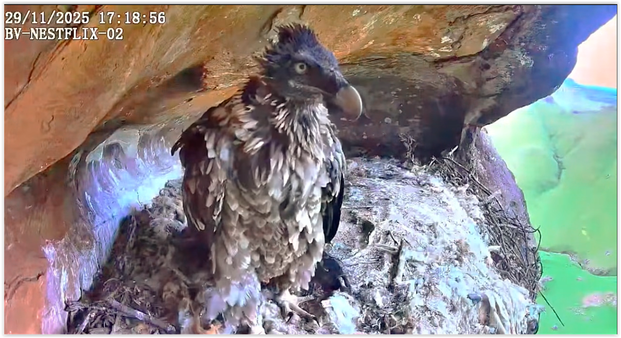 Screen Shot 12 03 25 at 09 12 AM