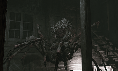 spider