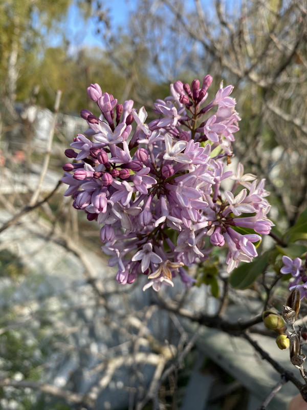 89E05EF2-93C5-46DC-B0CD-9D4037D550A2