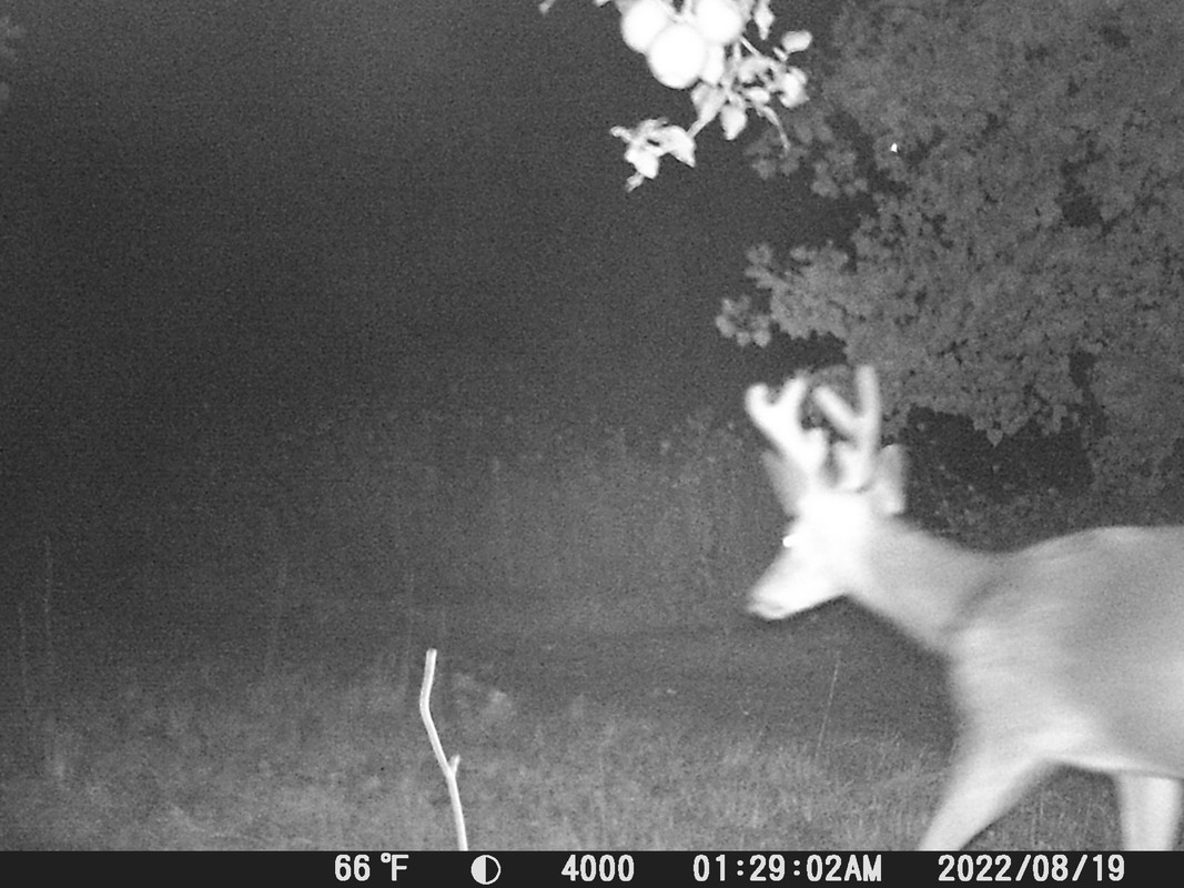 8ACB8BF0-0CDA-47FA-B94F-E8479E950923