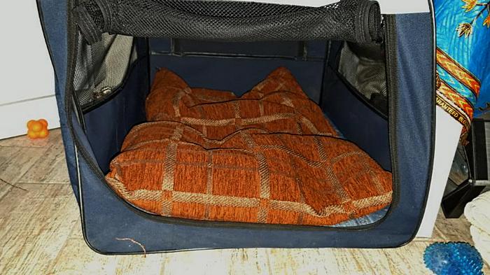 viber-2020-06-15-20-49-06