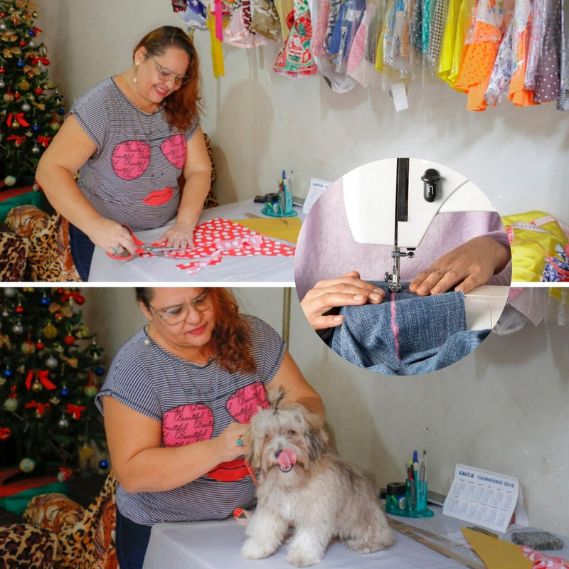 Roupas pet