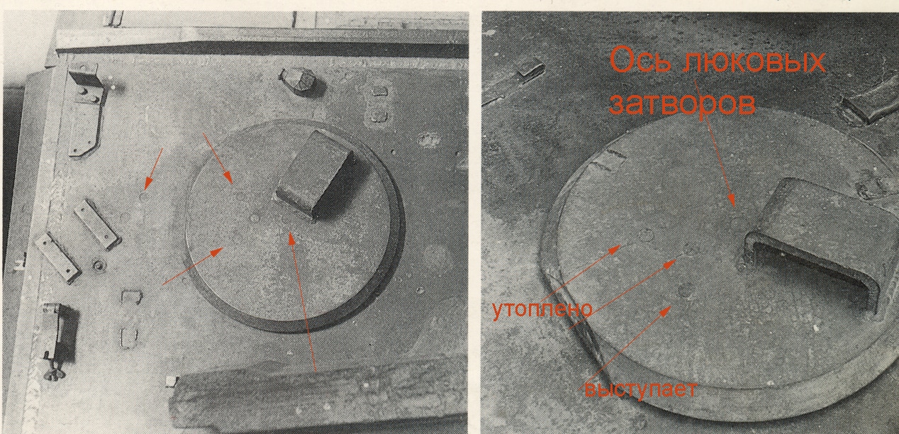 Тамия невс тигры0005