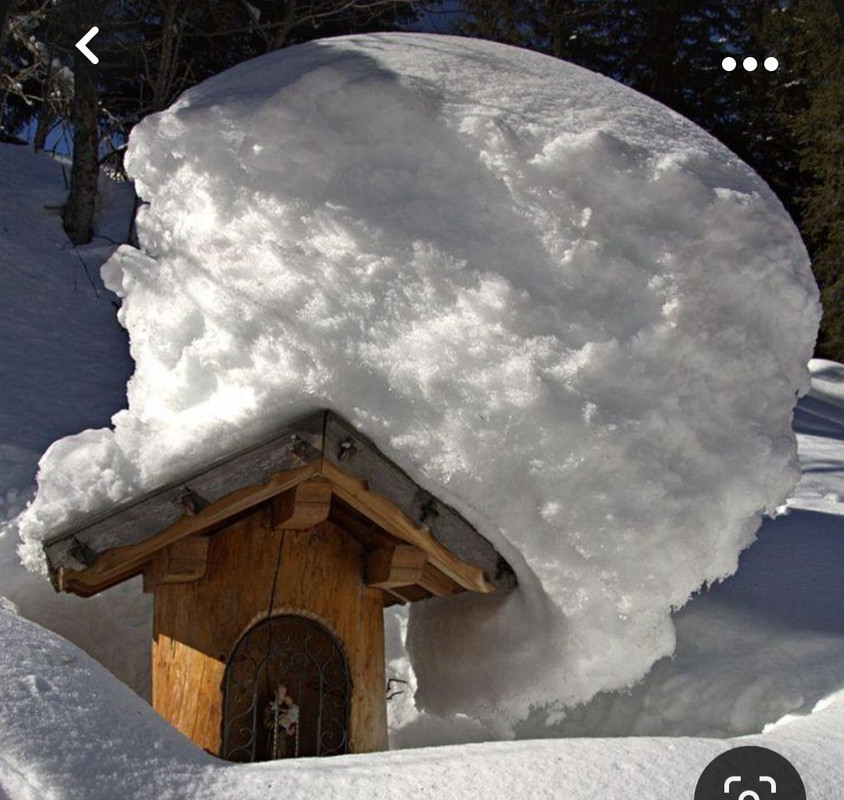 Screenshot_20231017_202240_Pinterest