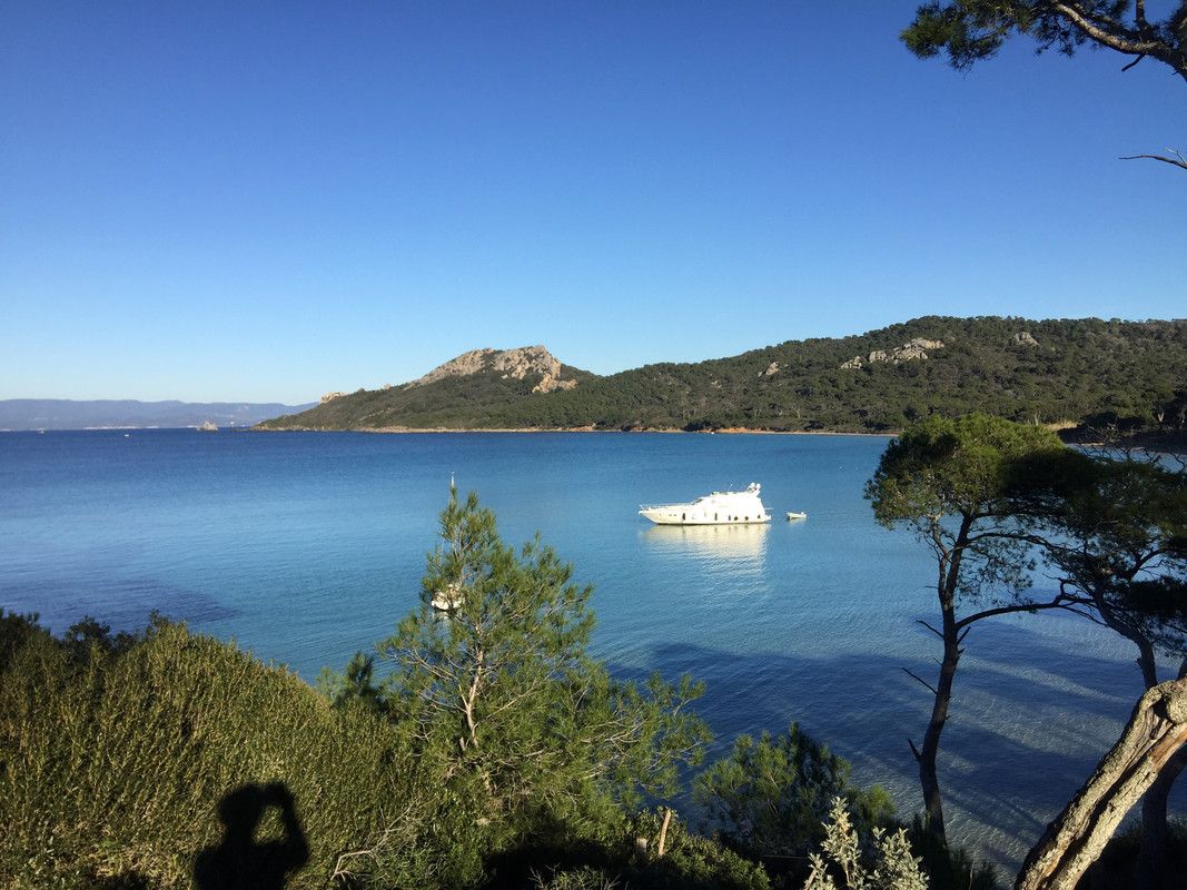 1DF32C39-C24C-4B1A-9615-1410A713E4F5