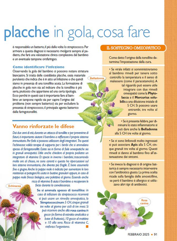 Sal Nat Feb 2025 (12)