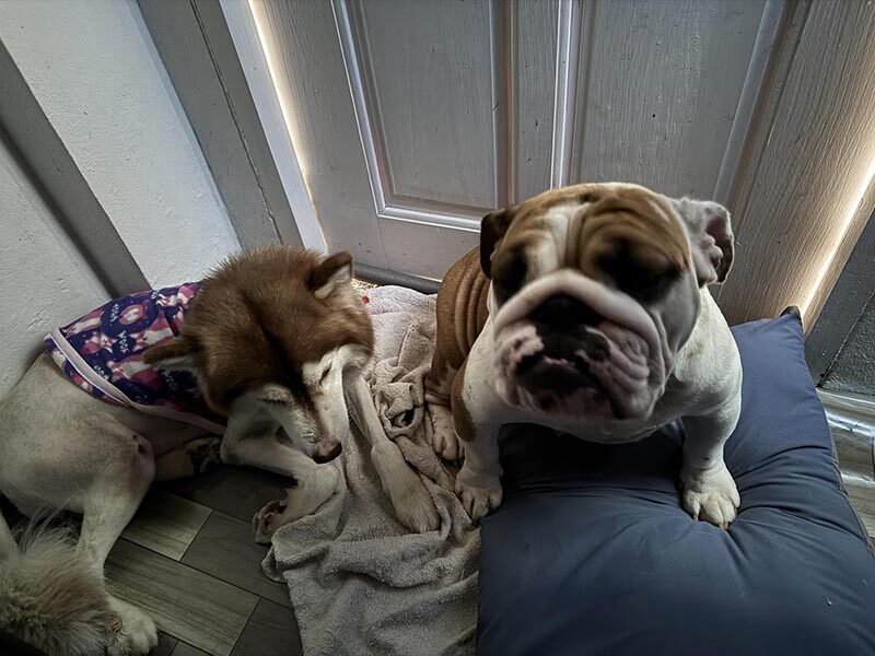 445507339-786784856941507-3935361022743995469-n