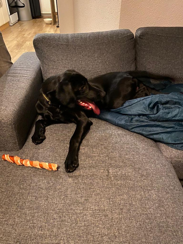 700FEA57-05DF-4F7B-A933-54116D836A20