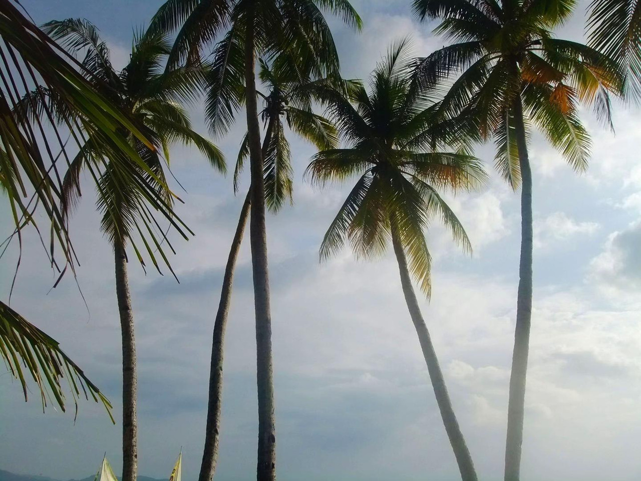 photo 49 2025 12 17 21 28 21