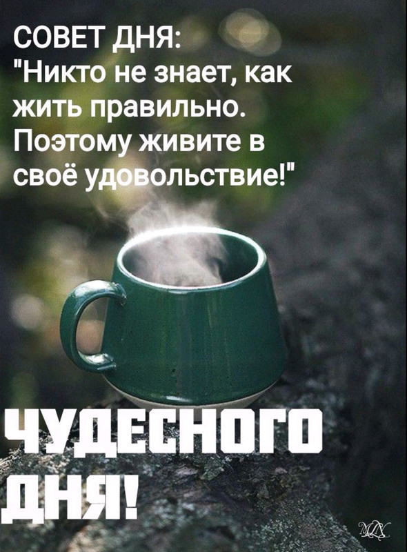 Screenshot-20230201-111826-com-viber-voi