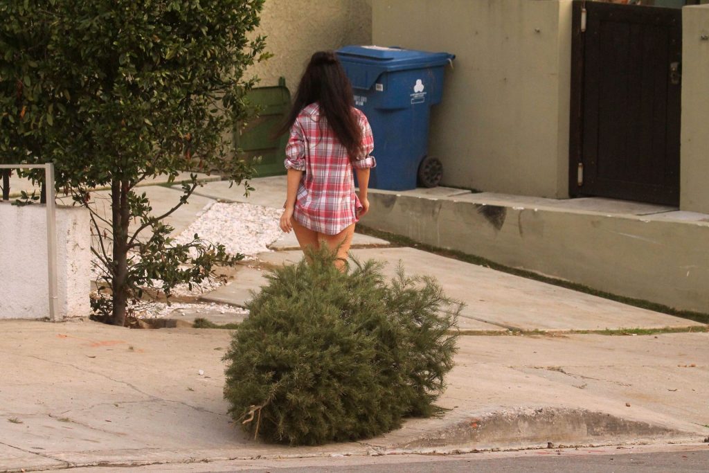 Natasha-Blasick-Upskirt-Stars-com-7