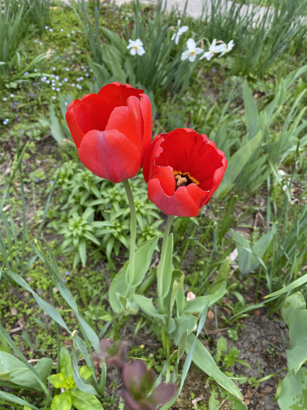 7868B7B7-6A4A-4A6B-A6A2-6D76D5D8921B