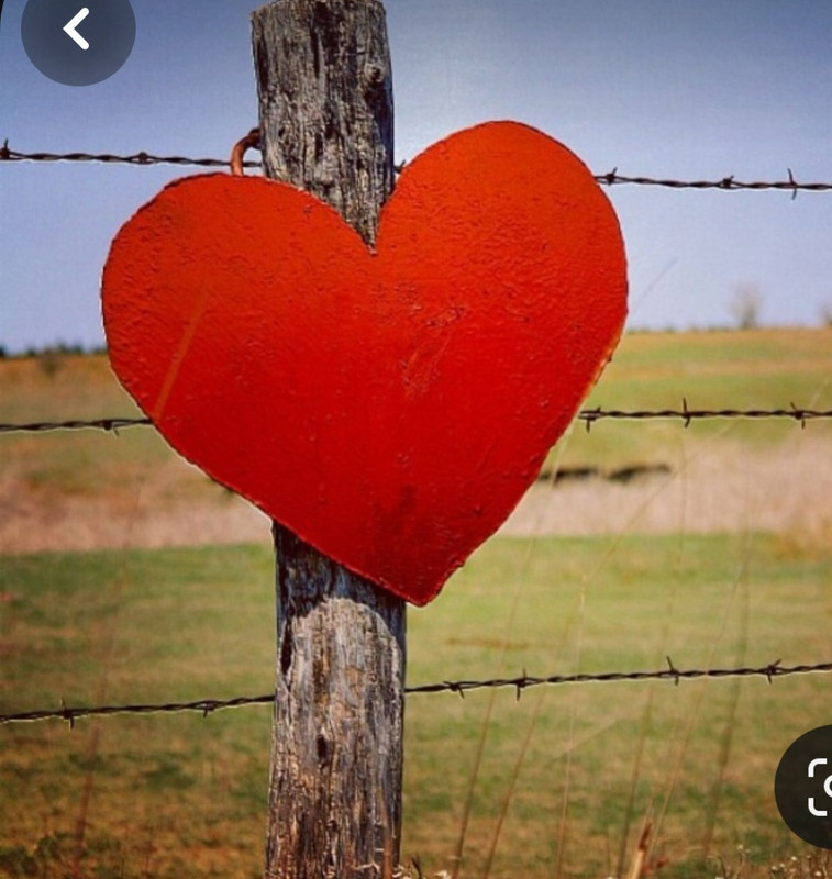 Screenshot_20240214_174232_Pinterest