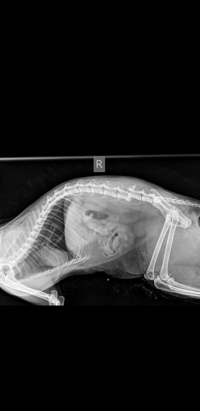 C8531D9B-53C1-475F-AC95-5E0423813C56