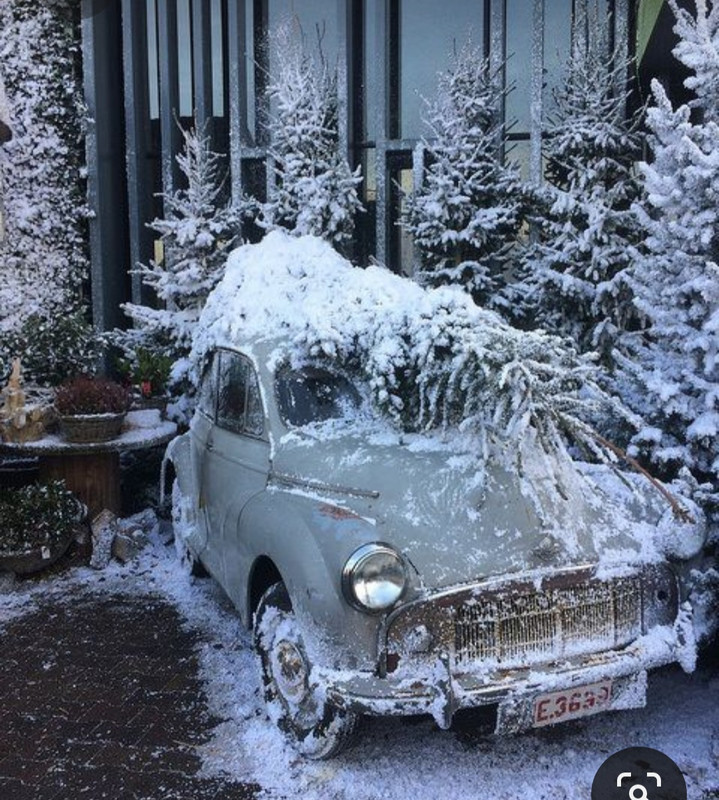 Screenshot_20231019_205427_Pinterest