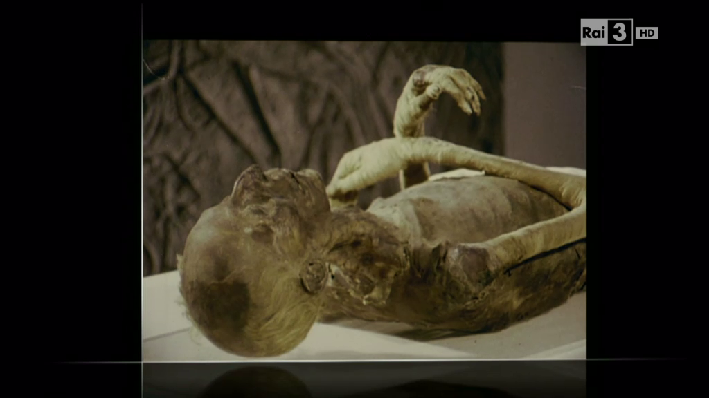 vlcsnap-1818-05-01-03h24m54s695