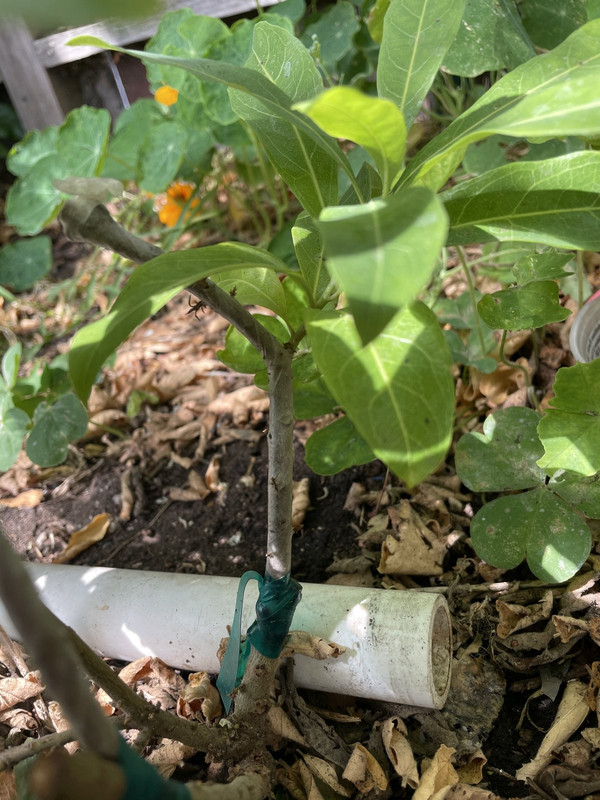 4A0C7DC7-8944-4ECF-9120-58BDBCEA483A