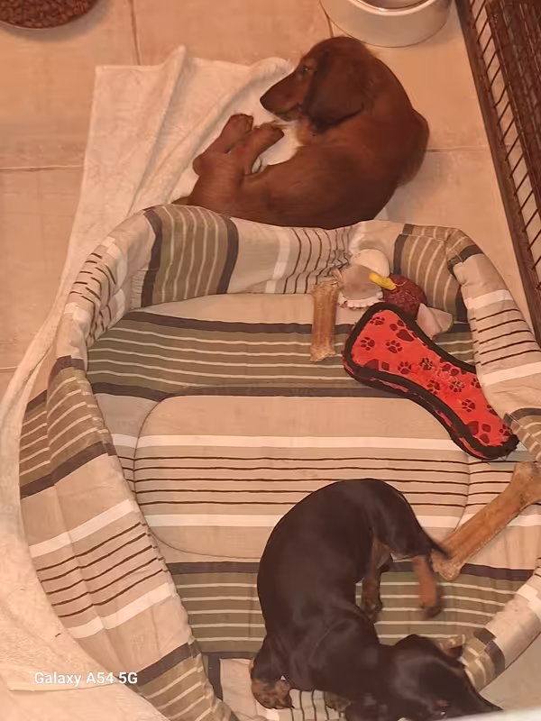 [Image: 20241011-204217.avif]