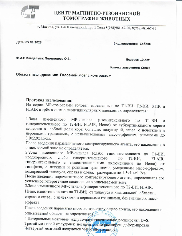 ОБНОВЛЁННОЕ ЗАКЛЮЧЕНИЕ по ГМ (Плотникова француз Стеша)
