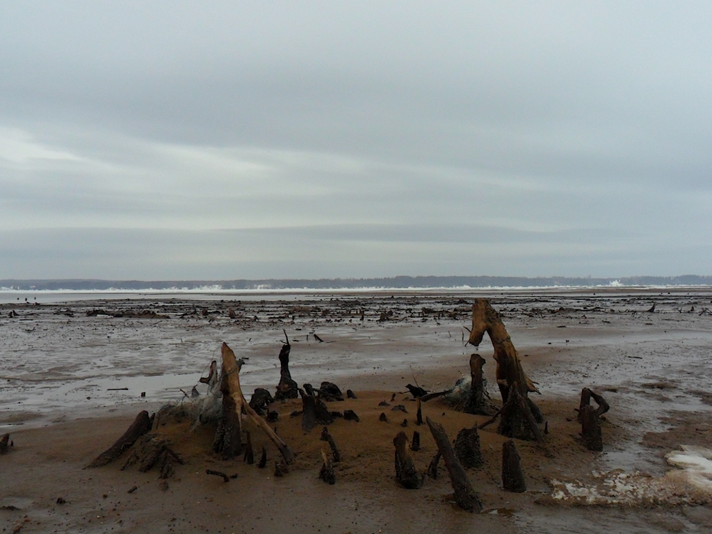 Добрянка 3.04.13. 2