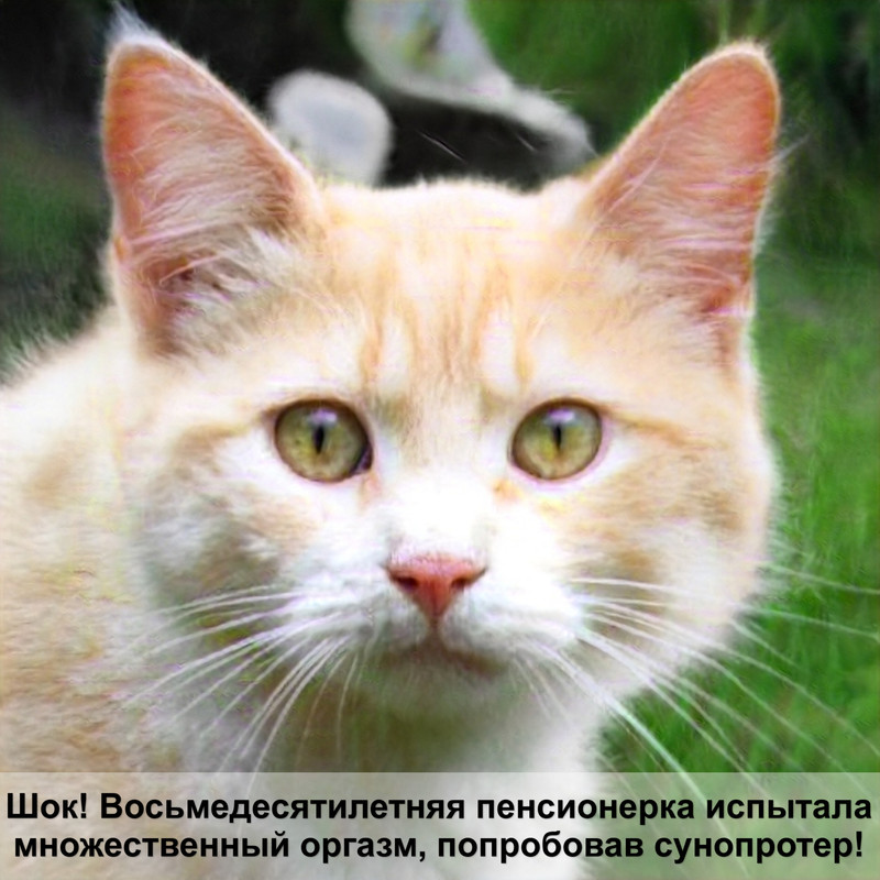 корм для кошек мнямс